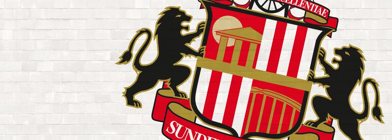 Profile: Sunderland new-boy, Lamine Kone