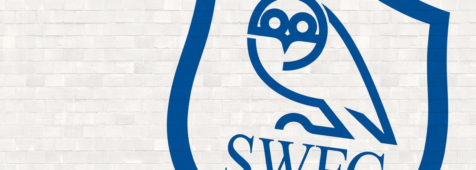 A Q&A with Sheffield Wednesday mascot, Ozzie Owl