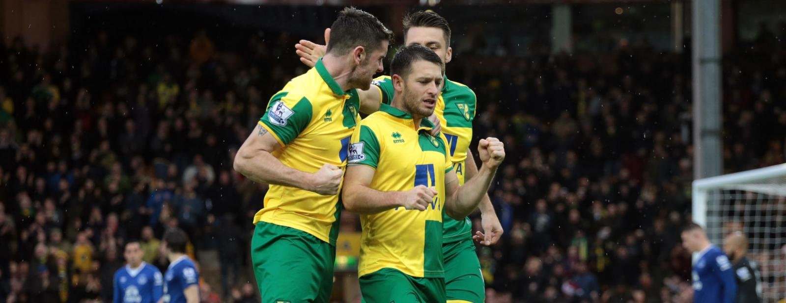 Norwich need 3 or 4 quality additions for a smooth run to May